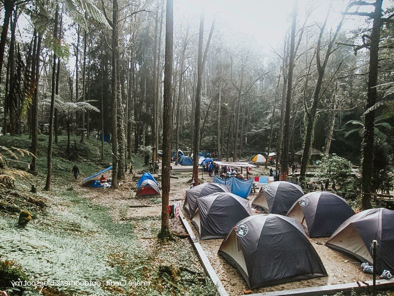 Cameron Camping sites