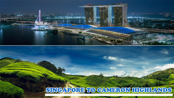 Singapore-to-Cameron-Highlands