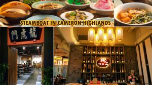 Steamboat-in-Cameron-Highlands