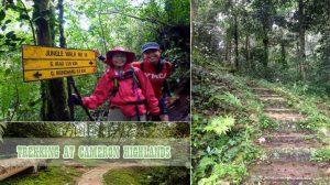 Trekking-at-Cameron-Highlands